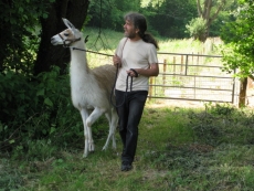 Leaving the catch-pen