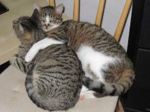 A Little Hug