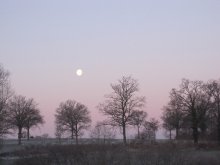 Morning Moon