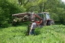 The first posts go in