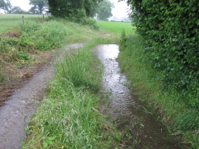 One track. Two streams. Both running into our new land drain.