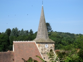 Swifts and roofs and a clock. And more swifts.