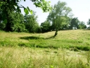 Stream through field