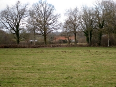House from distance