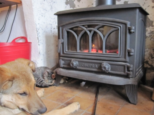 Woodstove