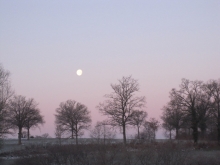 Morning Moon