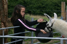 Ella and Lilas - youngest human with youngest llama