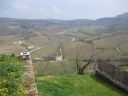 Walk 1