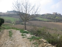 Walk 3