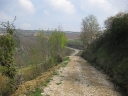 Walk 5