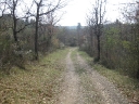Walk 8