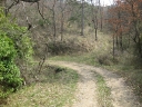 Walk 9