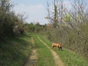 Walk 10