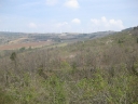 Walk 11
