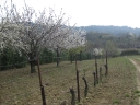 Walk 13