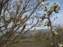 Walk 14