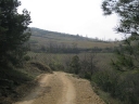 Walk 17