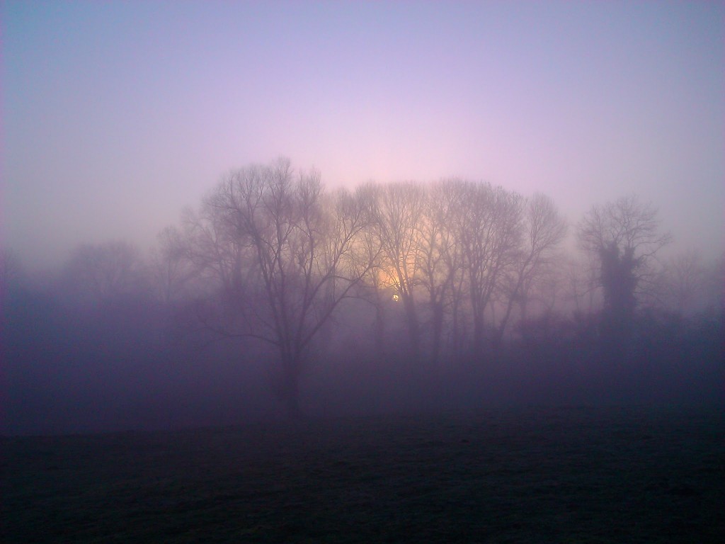 The misty morning...