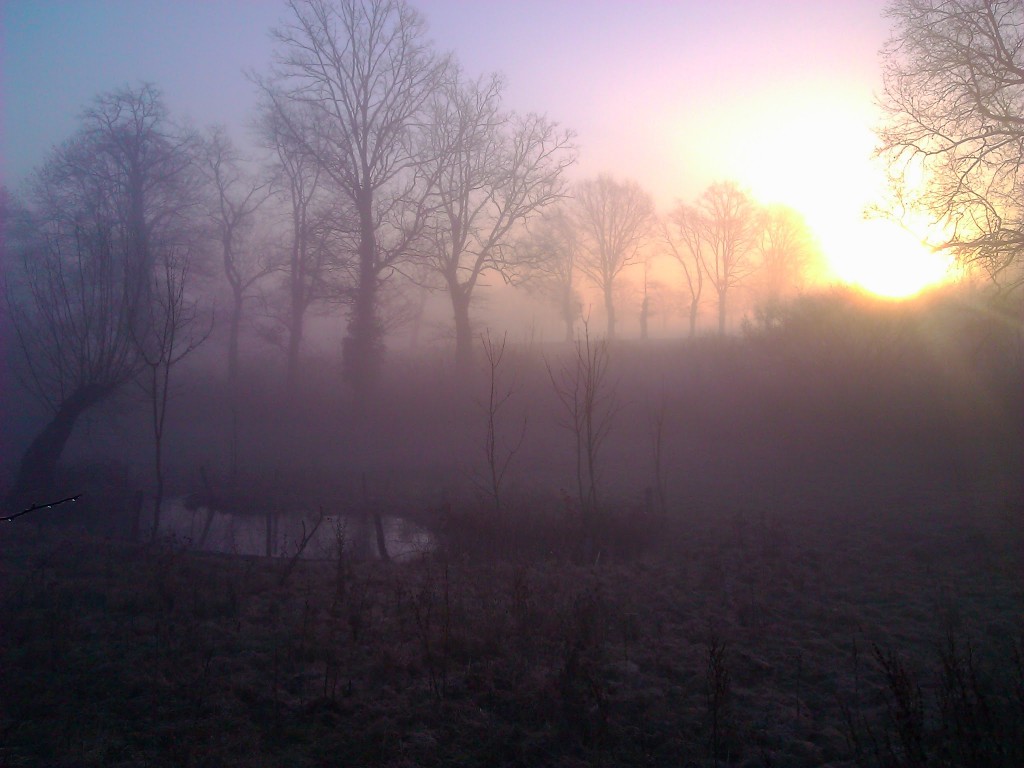...to the sunny day